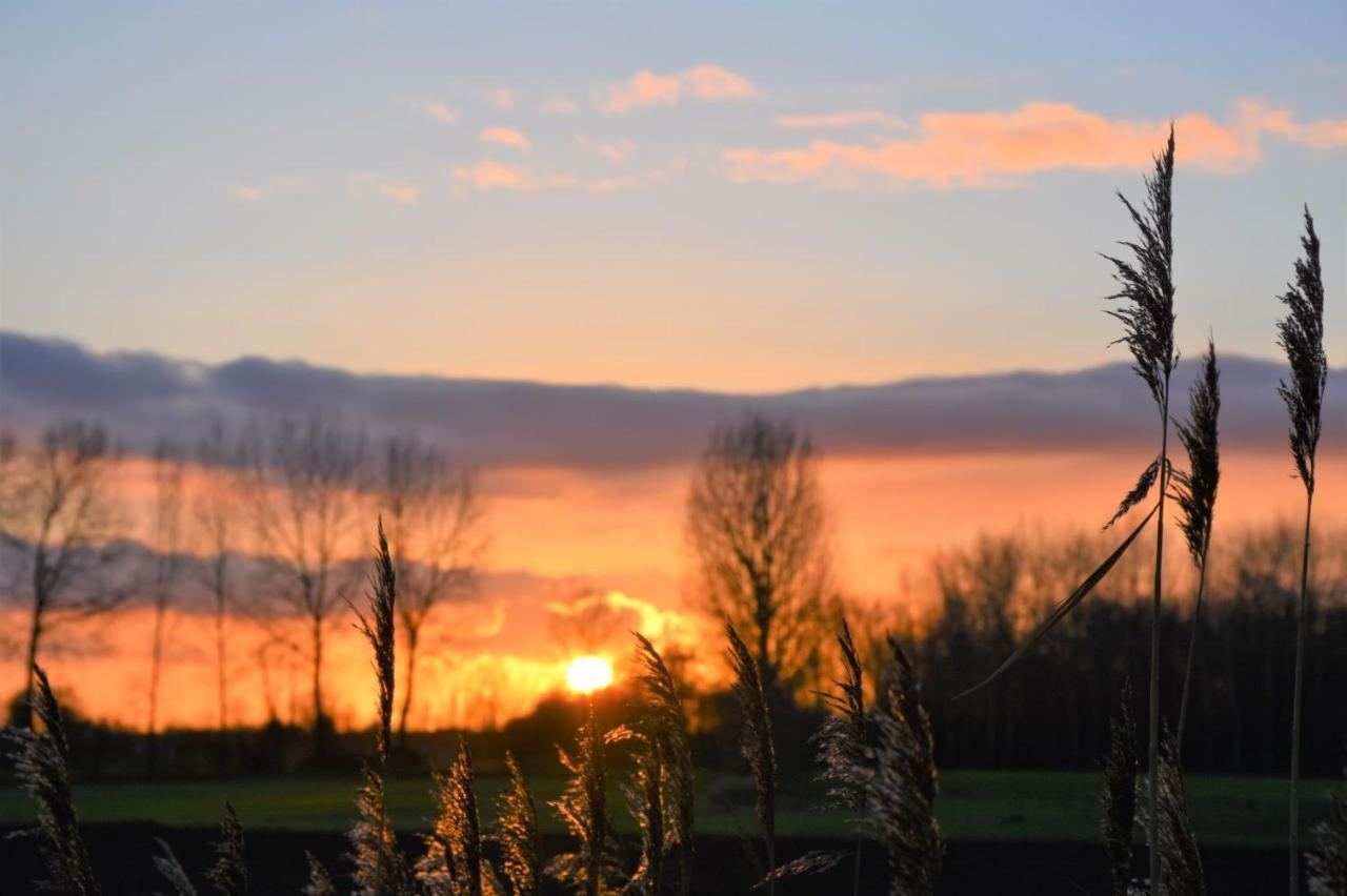 Vakantiewoning Lescaut Hamme Buitenkant foto